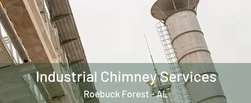 Industrial Chimney Services Roebuck Forest - AL