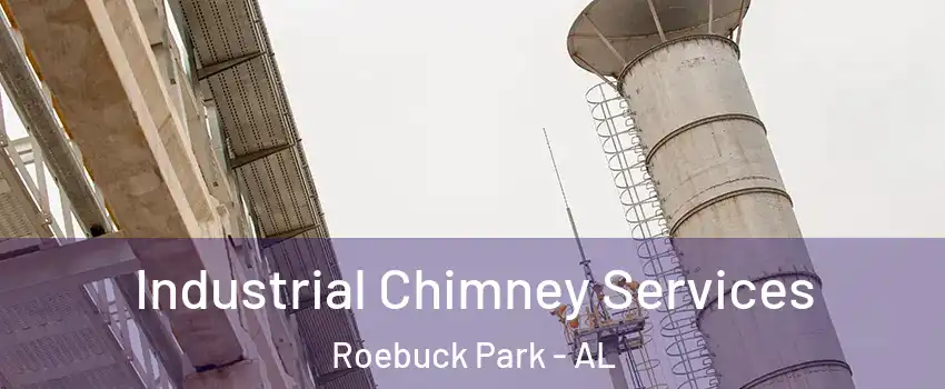 Industrial Chimney Services Roebuck Park - AL