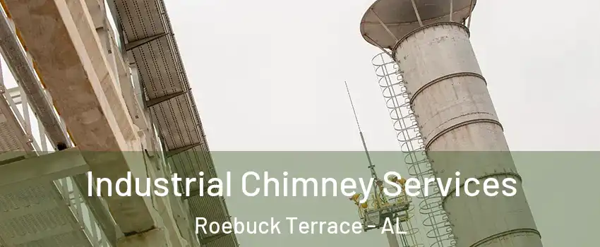 Industrial Chimney Services Roebuck Terrace - AL