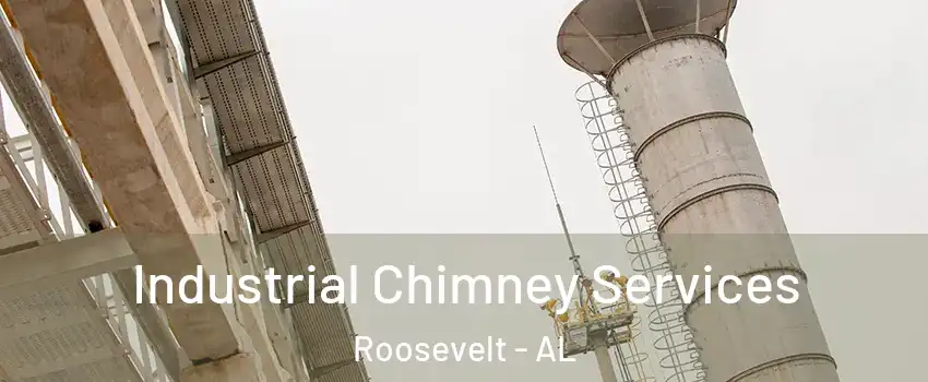 Industrial Chimney Services Roosevelt - AL