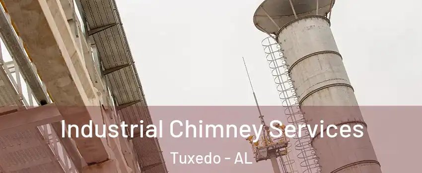 Industrial Chimney Services Tuxedo - AL