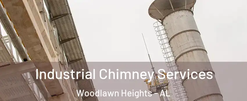Industrial Chimney Services Woodlawn Heights - AL