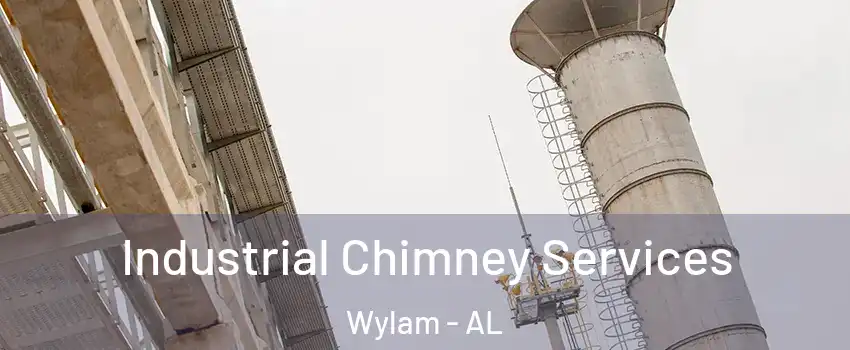 Industrial Chimney Services Wylam - AL