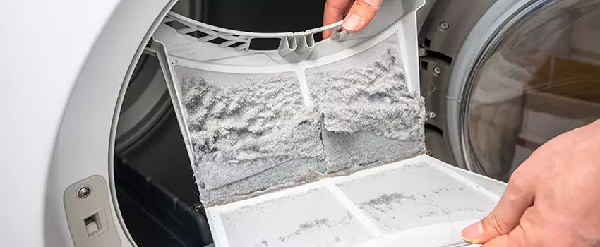 Best Dryer Lint Removal Company in Central City, Alabama