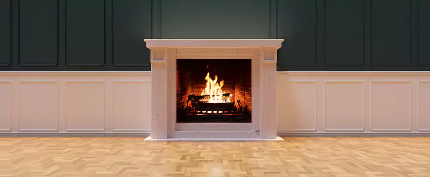 Napoleon Electric Fireplaces Inspection Service in West End, Alabama