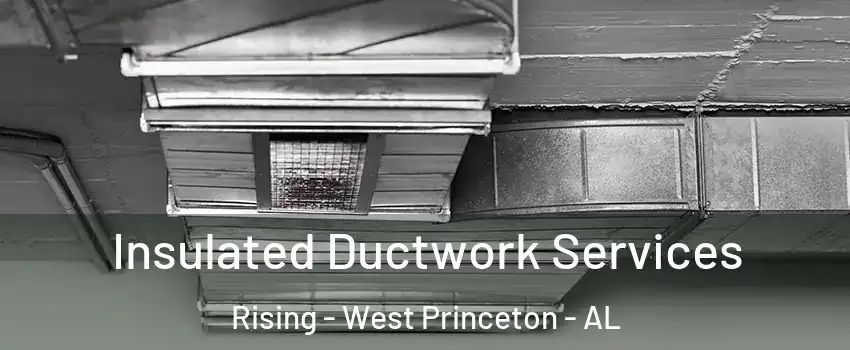 Insulated Ductwork Services Rising - West Princeton - AL