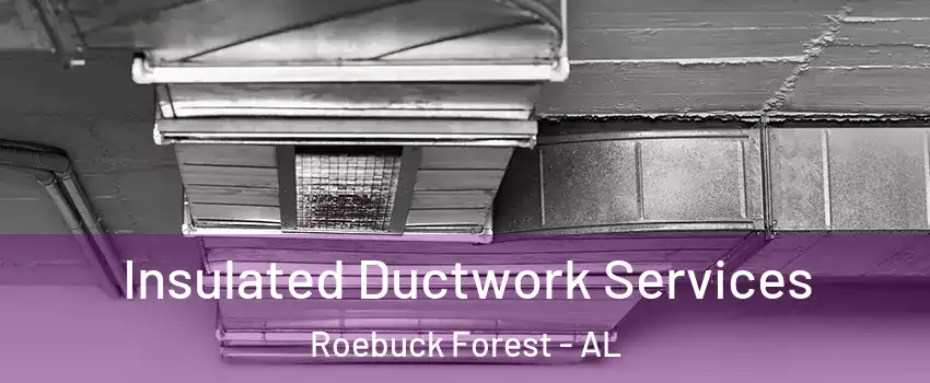 Insulated Ductwork Services Roebuck Forest - AL
