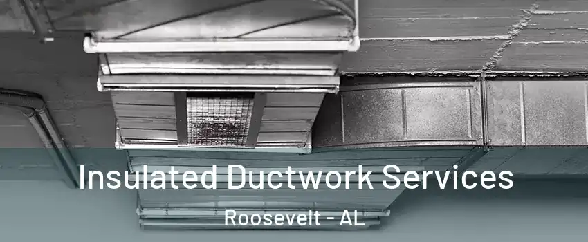 Insulated Ductwork Services Roosevelt - AL