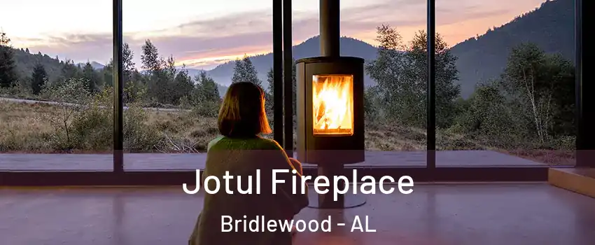 Jotul Fireplace Bridlewood - AL