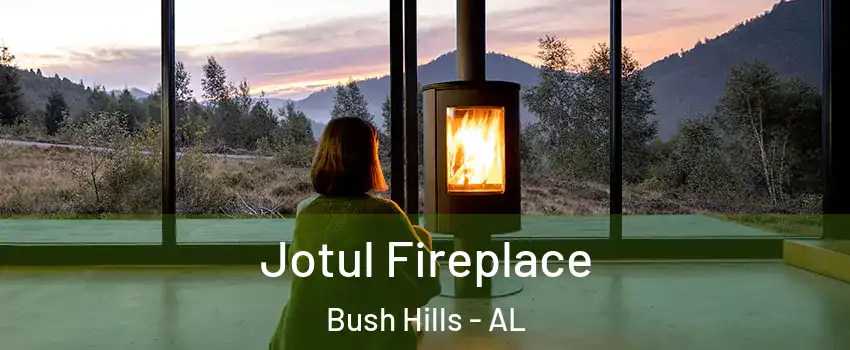 Jotul Fireplace Bush Hills - AL