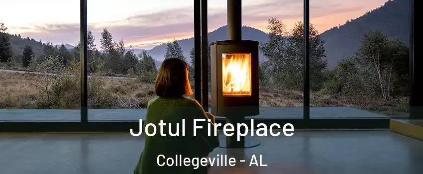 Jotul Fireplace Collegeville - AL