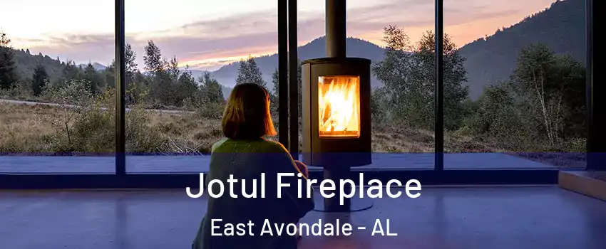 Jotul Fireplace East Avondale - AL