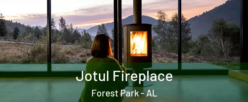 Jotul Fireplace Forest Park - AL