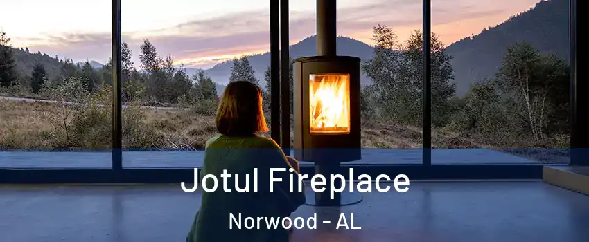Jotul Fireplace Norwood - AL