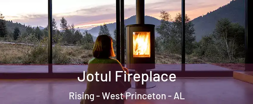 Jotul Fireplace Rising - West Princeton - AL