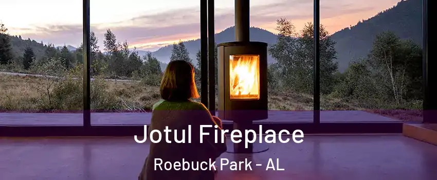 Jotul Fireplace Roebuck Park - AL