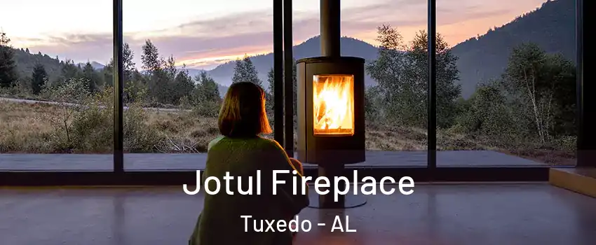 Jotul Fireplace Tuxedo - AL
