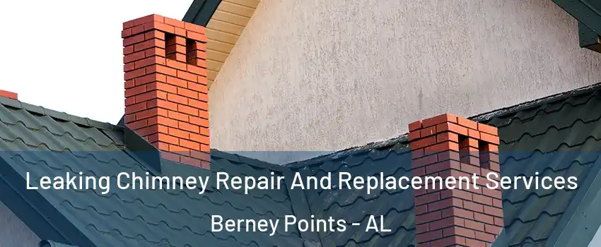 Leaking Chimney Repair And Replacement Services Berney Points - AL