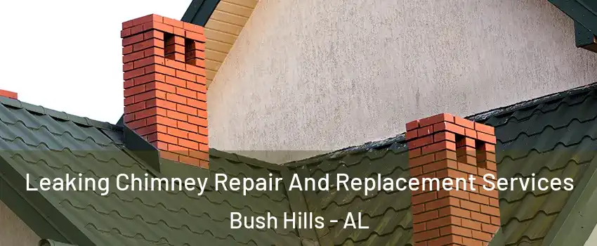 Leaking Chimney Repair And Replacement Services Bush Hills - AL