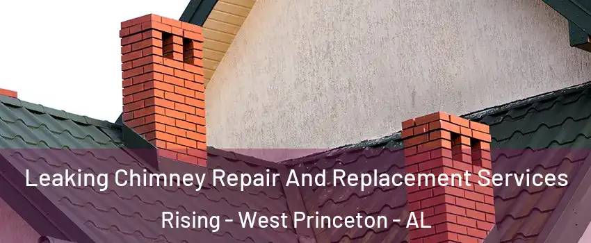 Leaking Chimney Repair And Replacement Services Rising - West Princeton - AL
