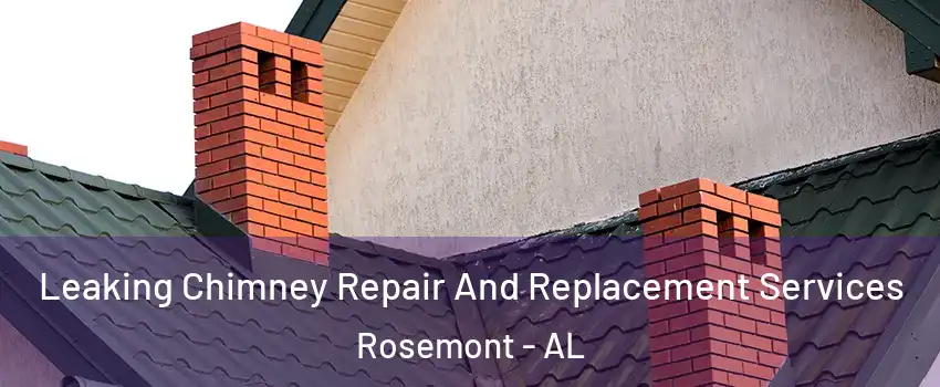 Leaking Chimney Repair And Replacement Services Rosemont - AL