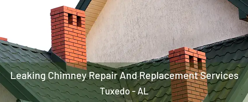 Leaking Chimney Repair And Replacement Services Tuxedo - AL