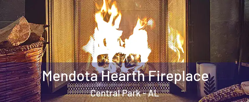 Mendota Hearth Fireplace Central Park - AL
