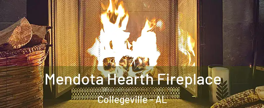 Mendota Hearth Fireplace Collegeville - AL