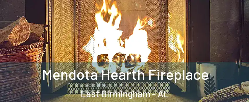 Mendota Hearth Fireplace East Birmingham - AL