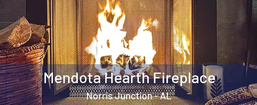 Mendota Hearth Fireplace Norris Junction - AL