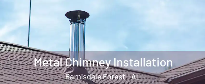 Metal Chimney Installation Barnisdale Forest - AL