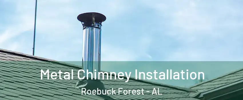 Metal Chimney Installation Roebuck Forest - AL