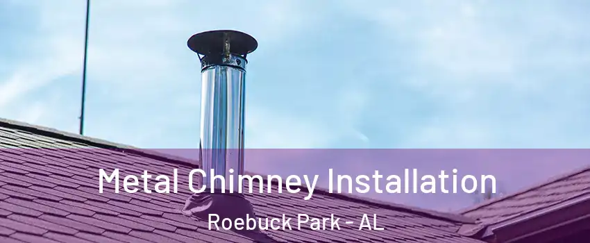 Metal Chimney Installation Roebuck Park - AL