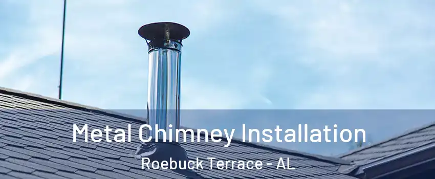 Metal Chimney Installation Roebuck Terrace - AL