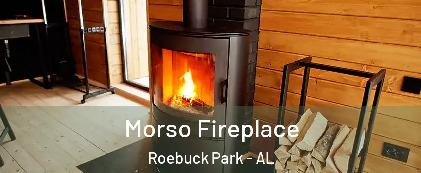 Morso Fireplace Roebuck Park - AL