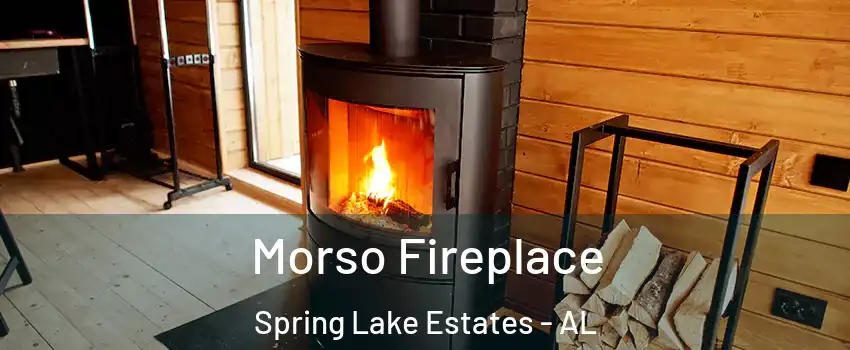 Morso Fireplace Spring Lake Estates - AL