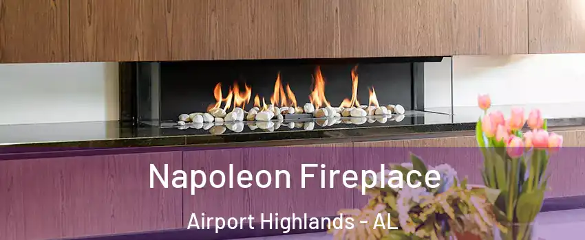 Napoleon Fireplace Airport Highlands - AL