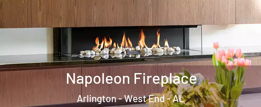 Napoleon Fireplace Arlington - West End - AL