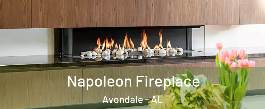 Napoleon Fireplace Avondale - AL