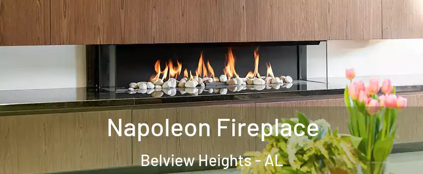 Napoleon Fireplace Belview Heights - AL