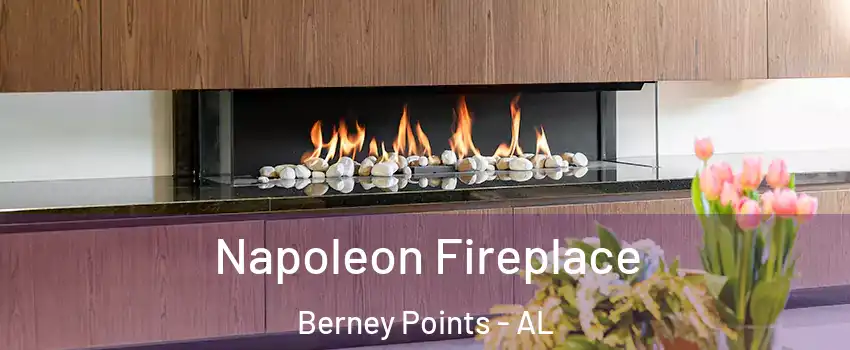 Napoleon Fireplace Berney Points - AL