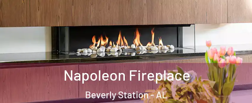 Napoleon Fireplace Beverly Station - AL