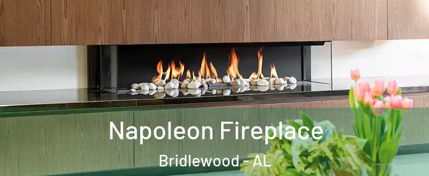 Napoleon Fireplace Bridlewood - AL