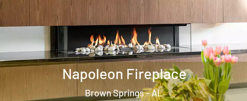 Napoleon Fireplace Brown Springs - AL