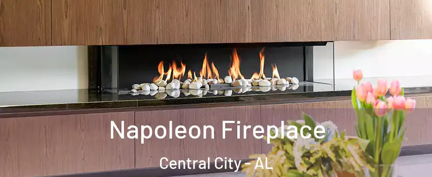 Napoleon Fireplace Central City - AL