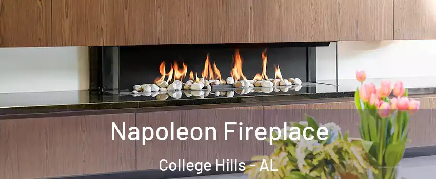 Napoleon Fireplace College Hills - AL