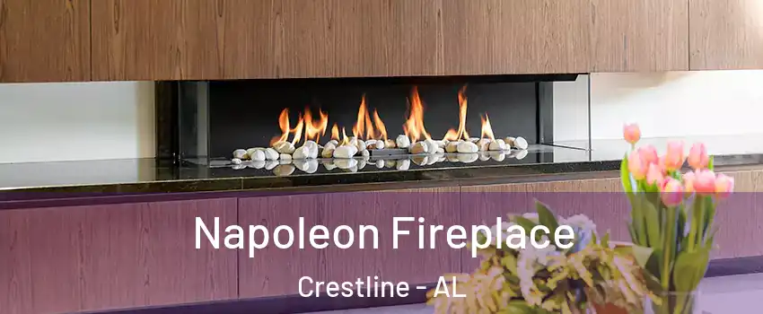 Napoleon Fireplace Crestline - AL