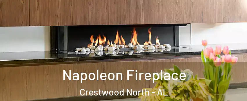 Napoleon Fireplace Crestwood North - AL