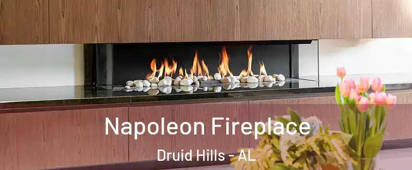 Napoleon Fireplace Druid Hills - AL