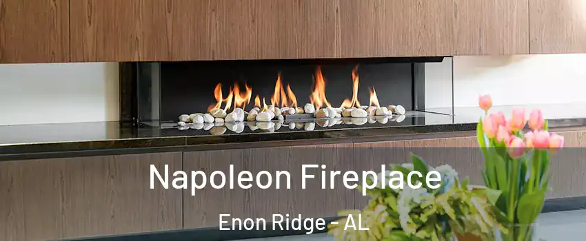 Napoleon Fireplace Enon Ridge - AL